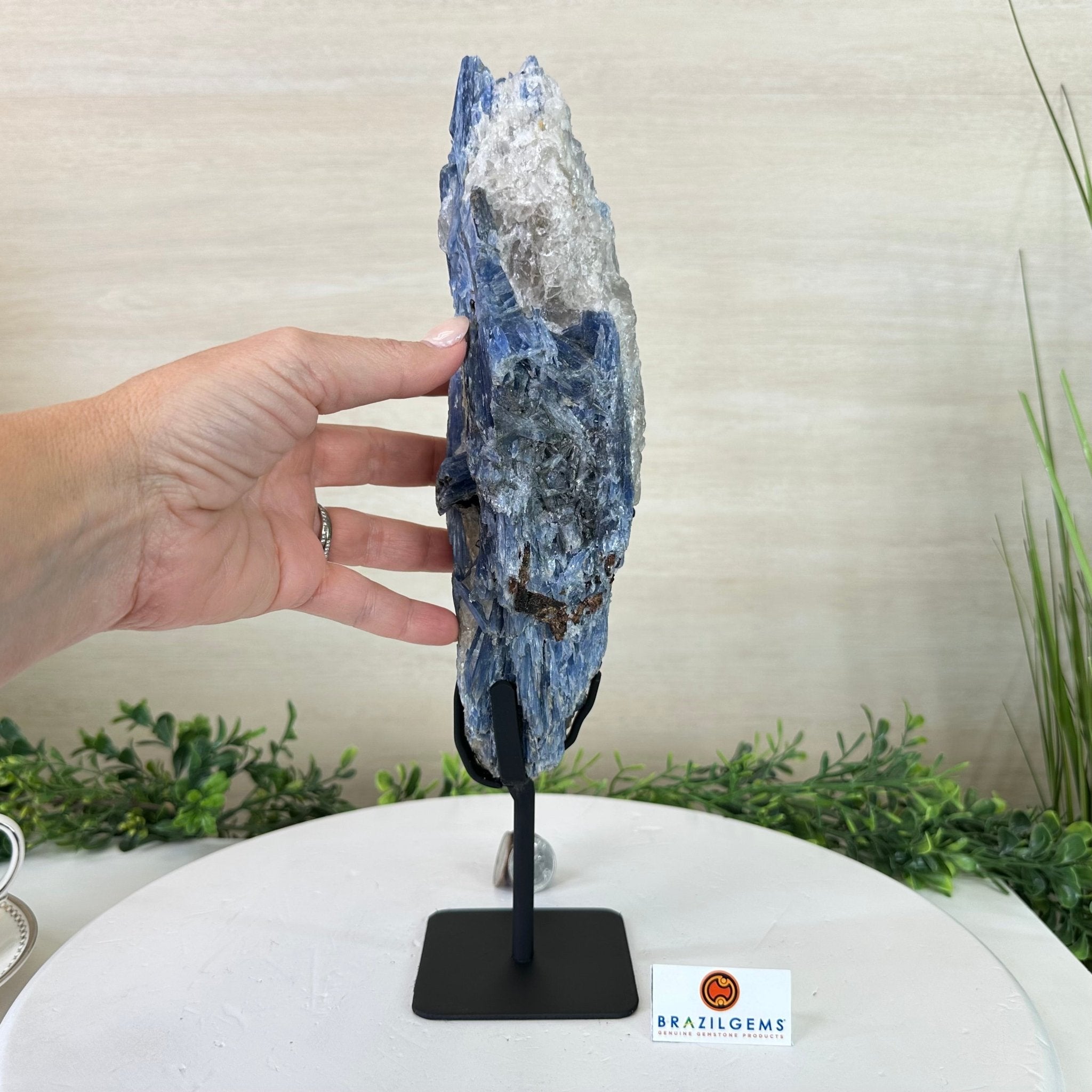 Kyanite Crystal on Metal Stand, 4.3 lbs & 13.2" Tall #6010 - 0022 - Brazil GemsBrazil GemsKyanite Crystal on Metal Stand, 4.3 lbs & 13.2" Tall #6010 - 0022Clusters on Fixed Bases6010 - 0022