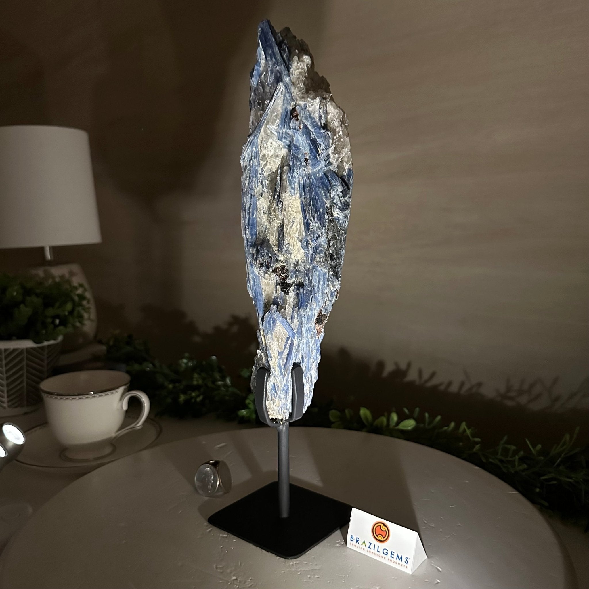 Kyanite Crystal on Metal Stand, 4.3 lbs & 13.2" Tall #6010 - 0022 - Brazil GemsBrazil GemsKyanite Crystal on Metal Stand, 4.3 lbs & 13.2" Tall #6010 - 0022Clusters on Fixed Bases6010 - 0022