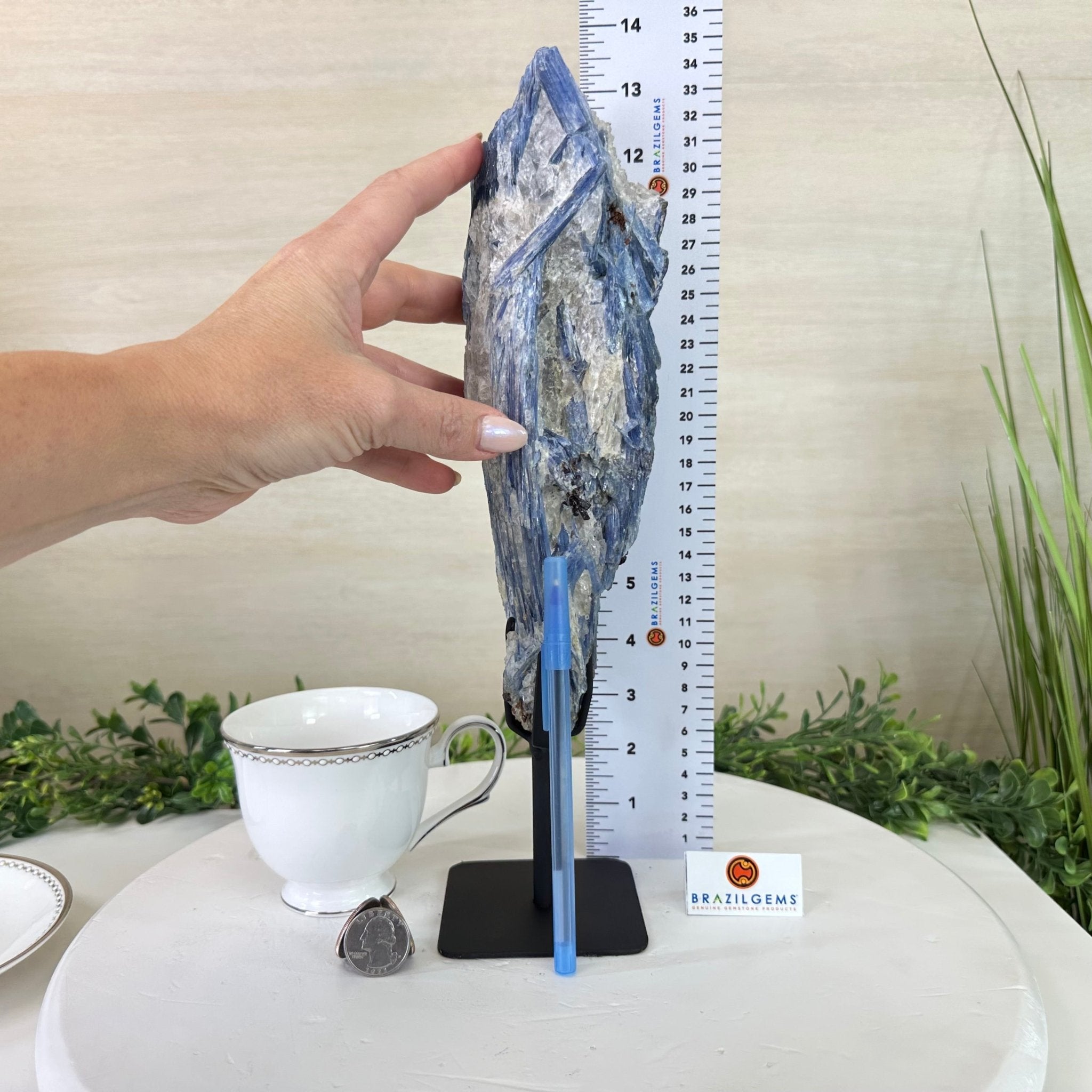 Kyanite Crystal on Metal Stand, 4.3 lbs & 13.2" Tall #6010 - 0022 - Brazil GemsBrazil GemsKyanite Crystal on Metal Stand, 4.3 lbs & 13.2" Tall #6010 - 0022Clusters on Fixed Bases6010 - 0022