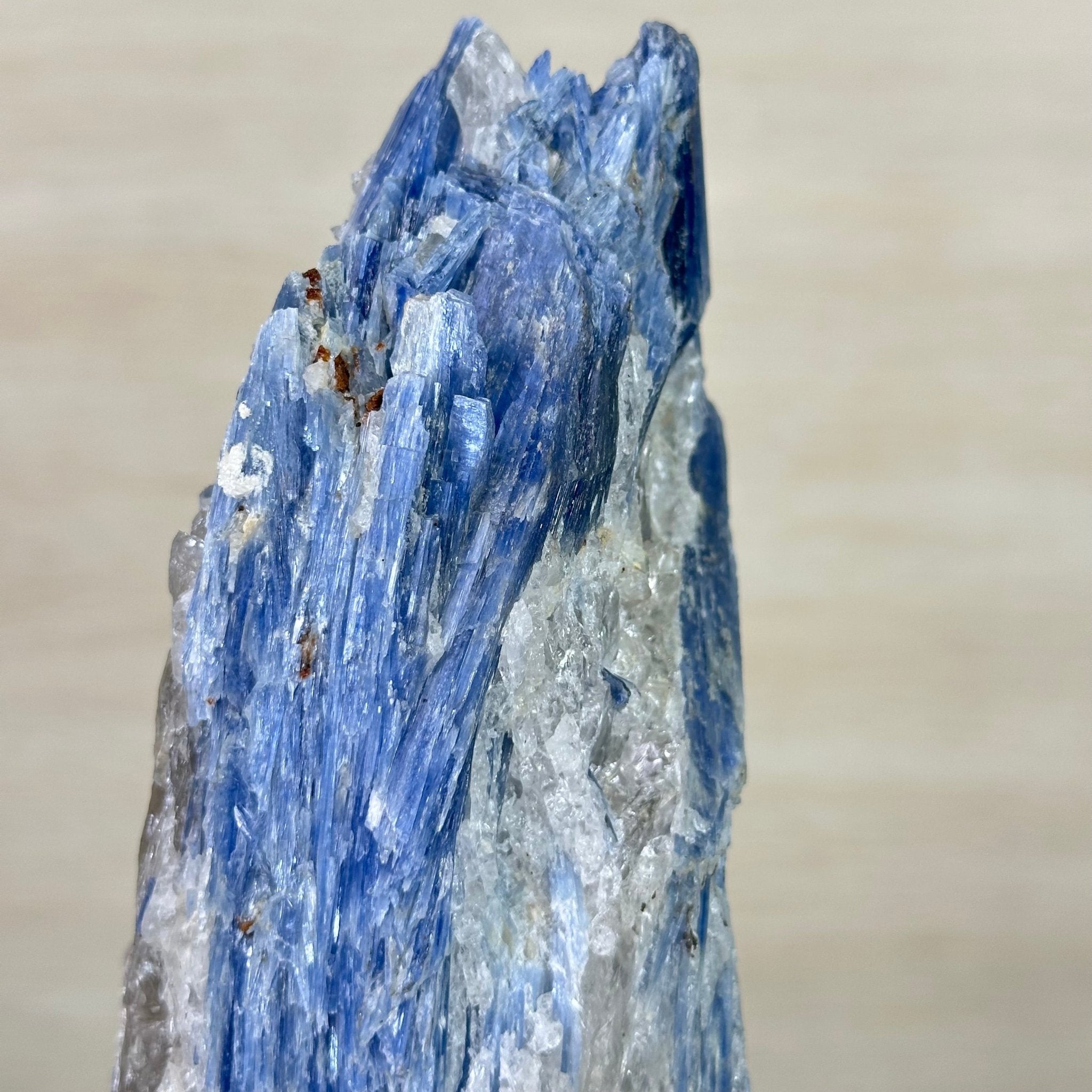 Kyanite Crystal on Metal Stand, 4.3 lbs & 13.2" Tall #6010 - 0022 - Brazil GemsBrazil GemsKyanite Crystal on Metal Stand, 4.3 lbs & 13.2" Tall #6010 - 0022Clusters on Fixed Bases6010 - 0022