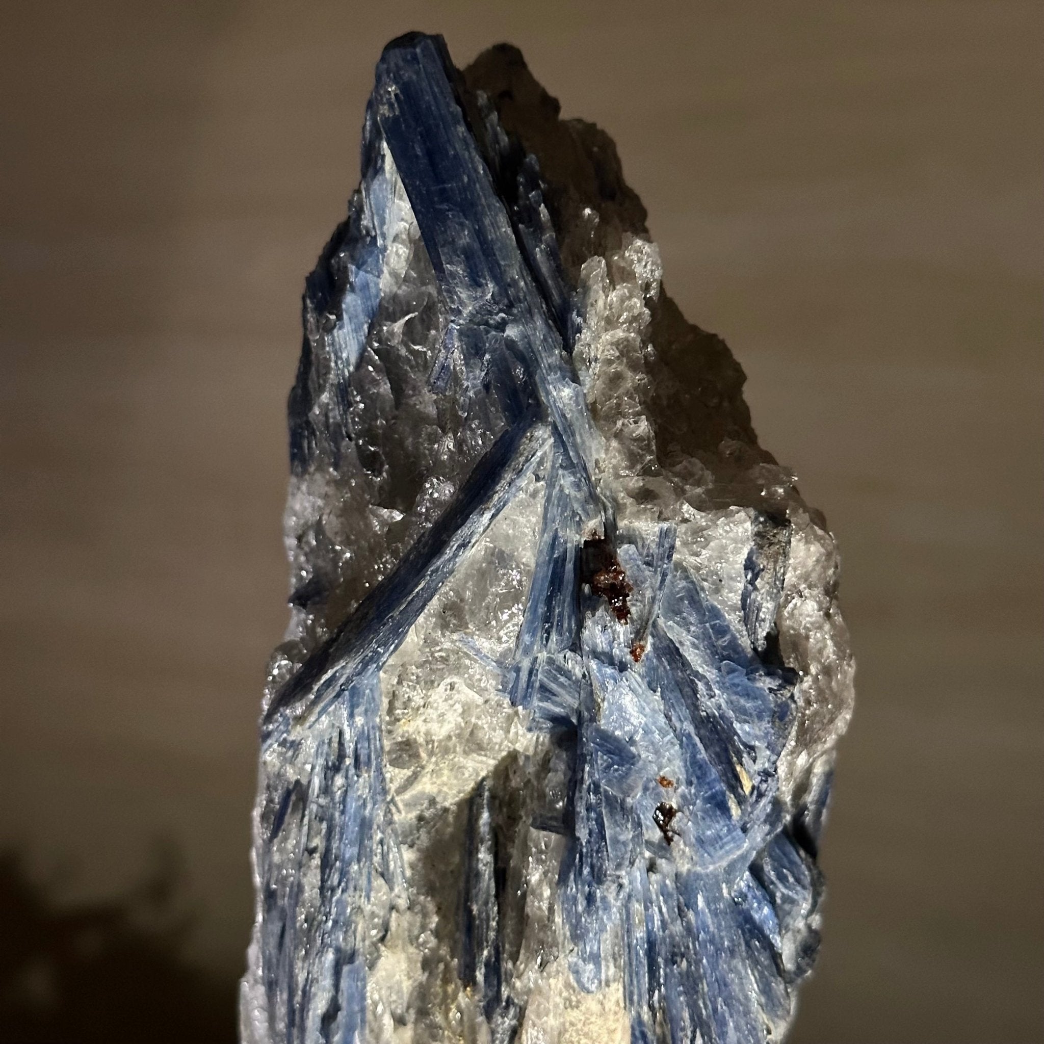 Kyanite Crystal on Metal Stand, 4.3 lbs & 13.2" Tall #6010 - 0022 - Brazil GemsBrazil GemsKyanite Crystal on Metal Stand, 4.3 lbs & 13.2" Tall #6010 - 0022Clusters on Fixed Bases6010 - 0022