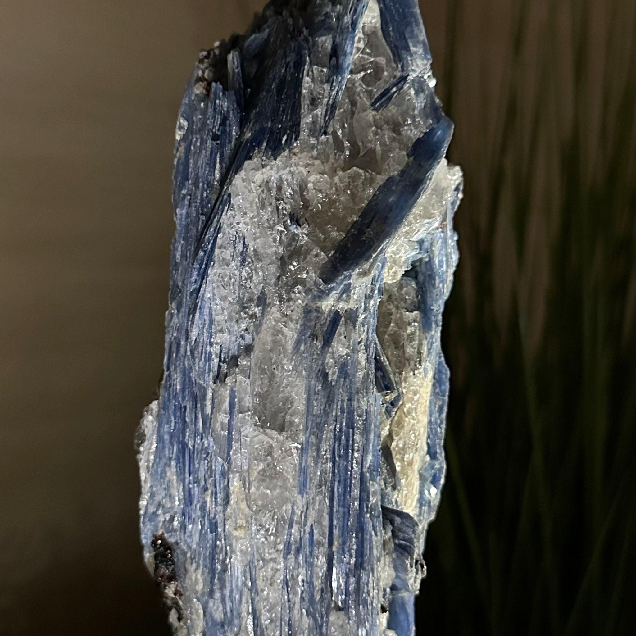 Kyanite Crystal on Metal Stand, 4.3 lbs & 13.2" Tall #6010 - 0022 - Brazil GemsBrazil GemsKyanite Crystal on Metal Stand, 4.3 lbs & 13.2" Tall #6010 - 0022Clusters on Fixed Bases6010 - 0022