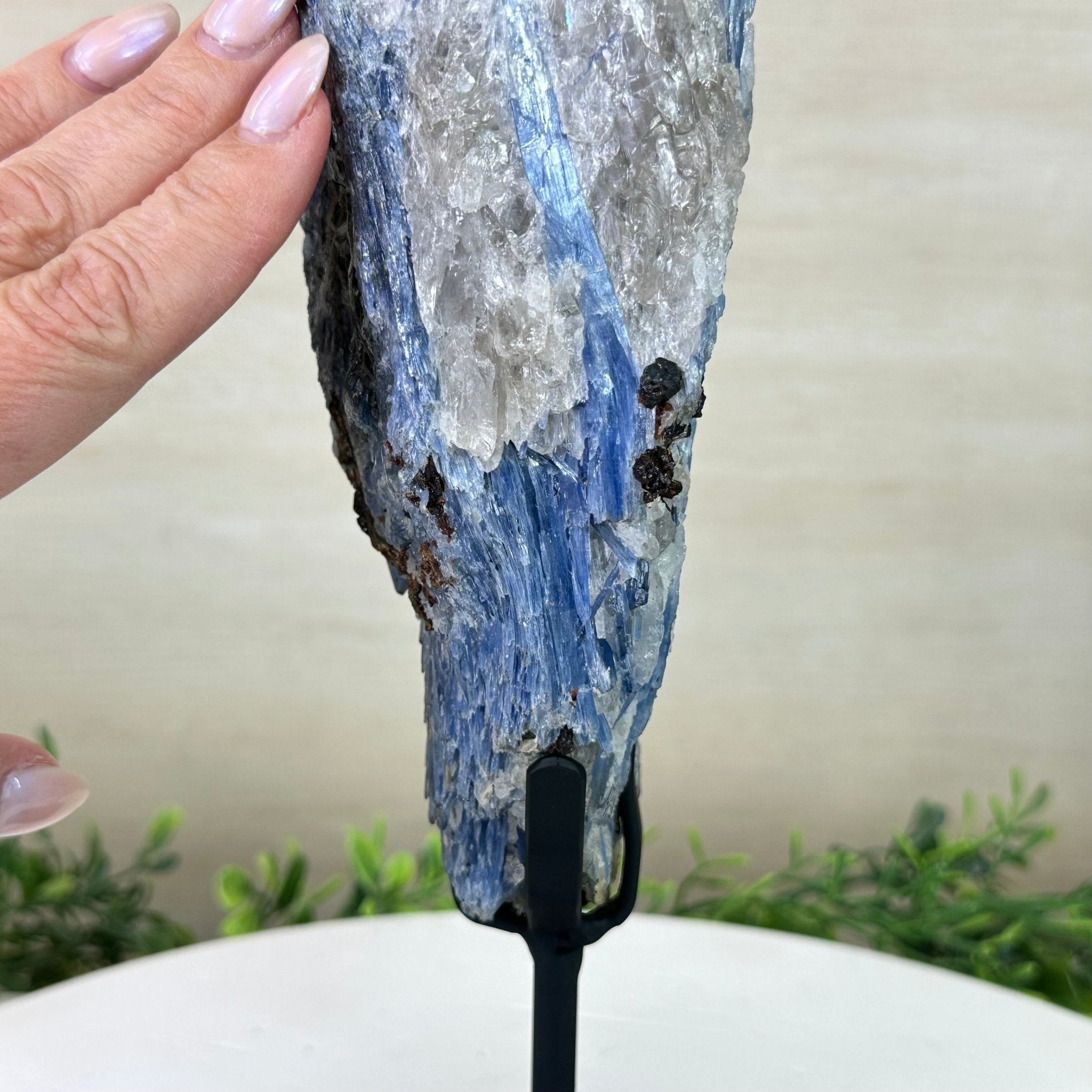 Kyanite Crystal on Metal Stand, 4.3 lbs & 13.2" Tall #6010 - 0022 - Brazil GemsBrazil GemsKyanite Crystal on Metal Stand, 4.3 lbs & 13.2" Tall #6010 - 0022Clusters on Fixed Bases6010 - 0022