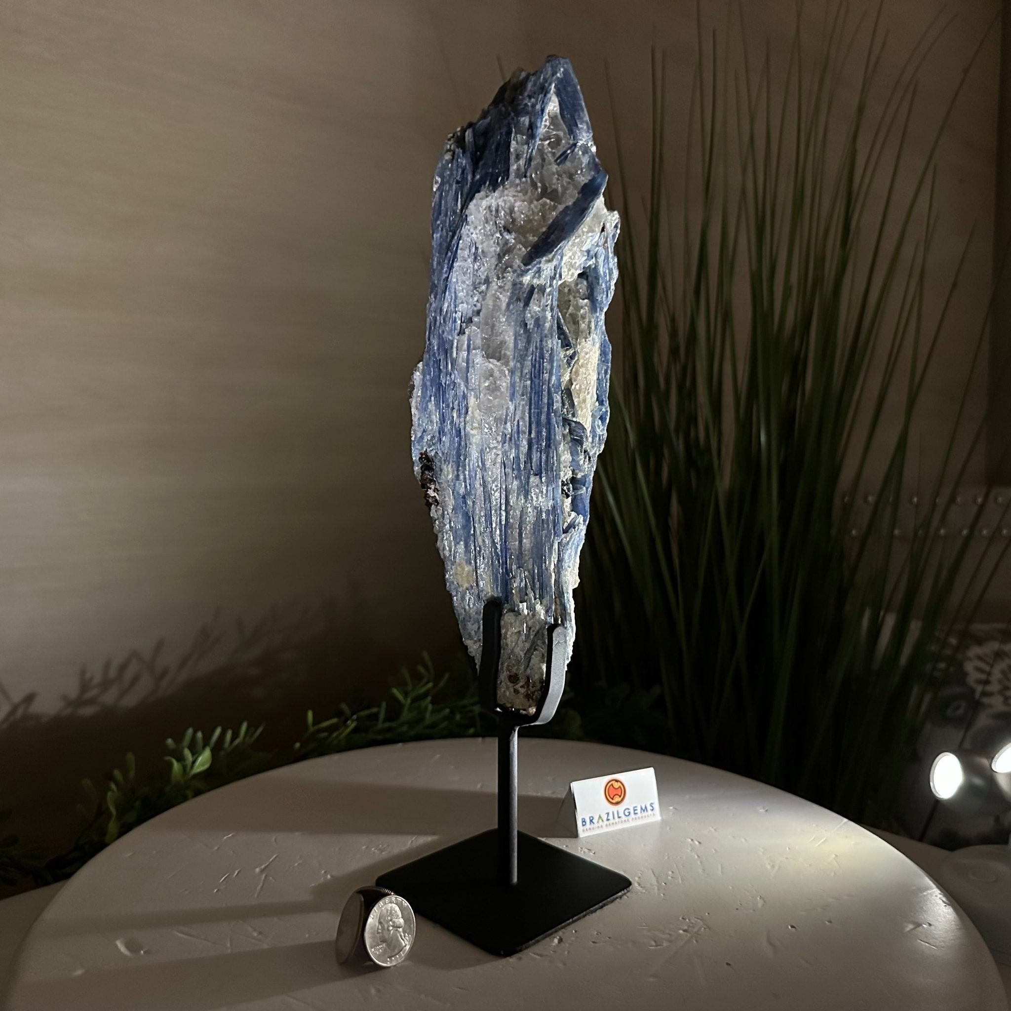 Kyanite Crystal on Metal Stand, 4.3 lbs & 13.2" Tall #6010 - 0022 - Brazil GemsBrazil GemsKyanite Crystal on Metal Stand, 4.3 lbs & 13.2" Tall #6010 - 0022Clusters on Fixed Bases6010 - 0022