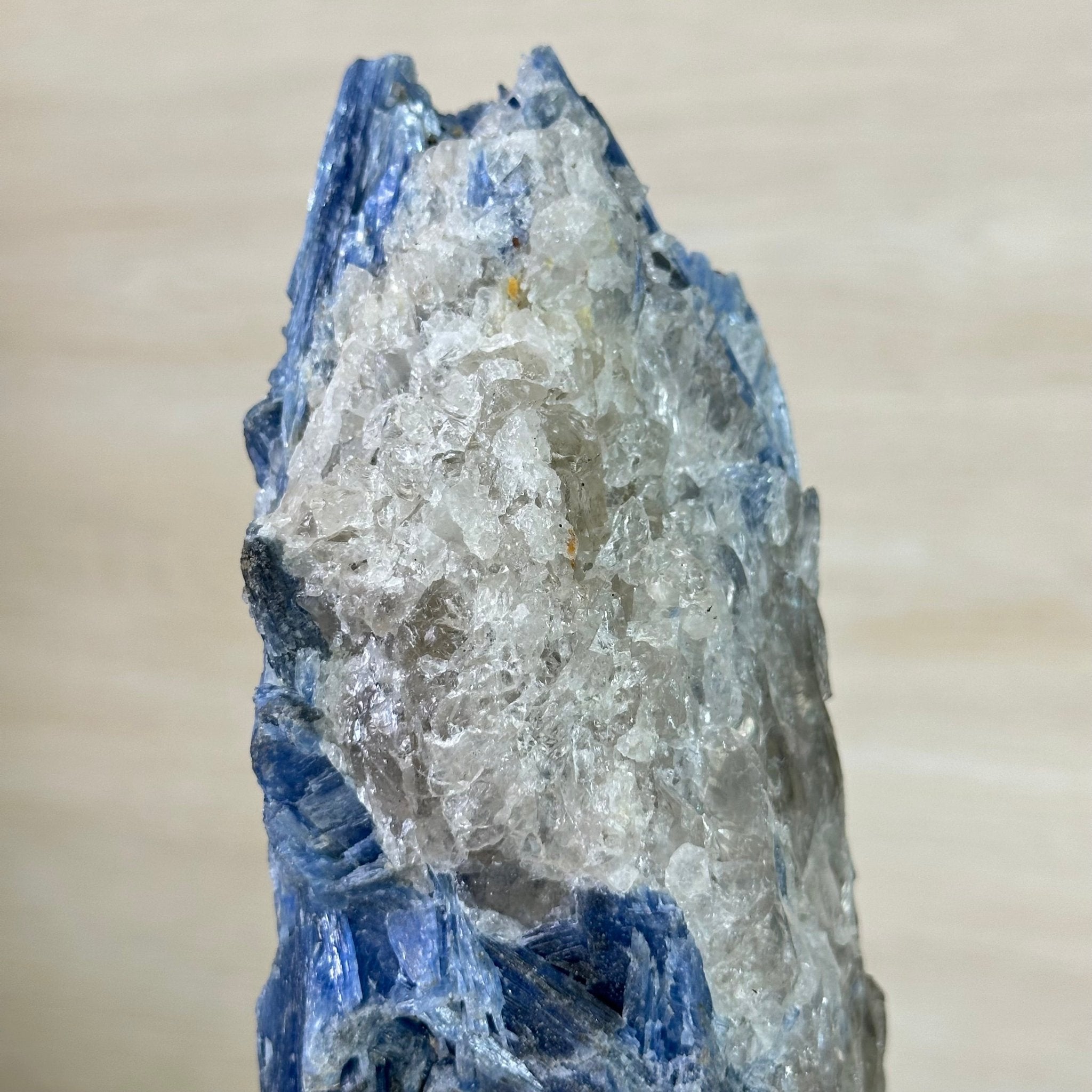 Kyanite Crystal on Metal Stand, 4.3 lbs & 13.2" Tall #6010 - 0022 - Brazil GemsBrazil GemsKyanite Crystal on Metal Stand, 4.3 lbs & 13.2" Tall #6010 - 0022Clusters on Fixed Bases6010 - 0022