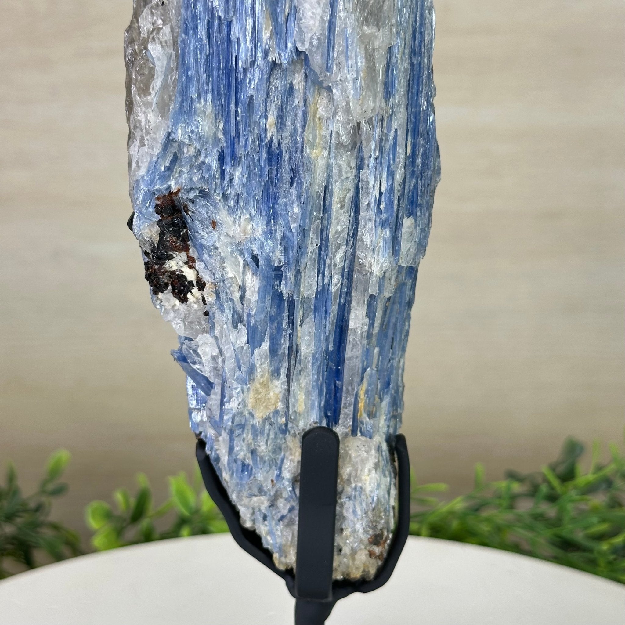 Kyanite Crystal on Metal Stand, 4.3 lbs & 13.2" Tall #6010 - 0022 - Brazil GemsBrazil GemsKyanite Crystal on Metal Stand, 4.3 lbs & 13.2" Tall #6010 - 0022Clusters on Fixed Bases6010 - 0022