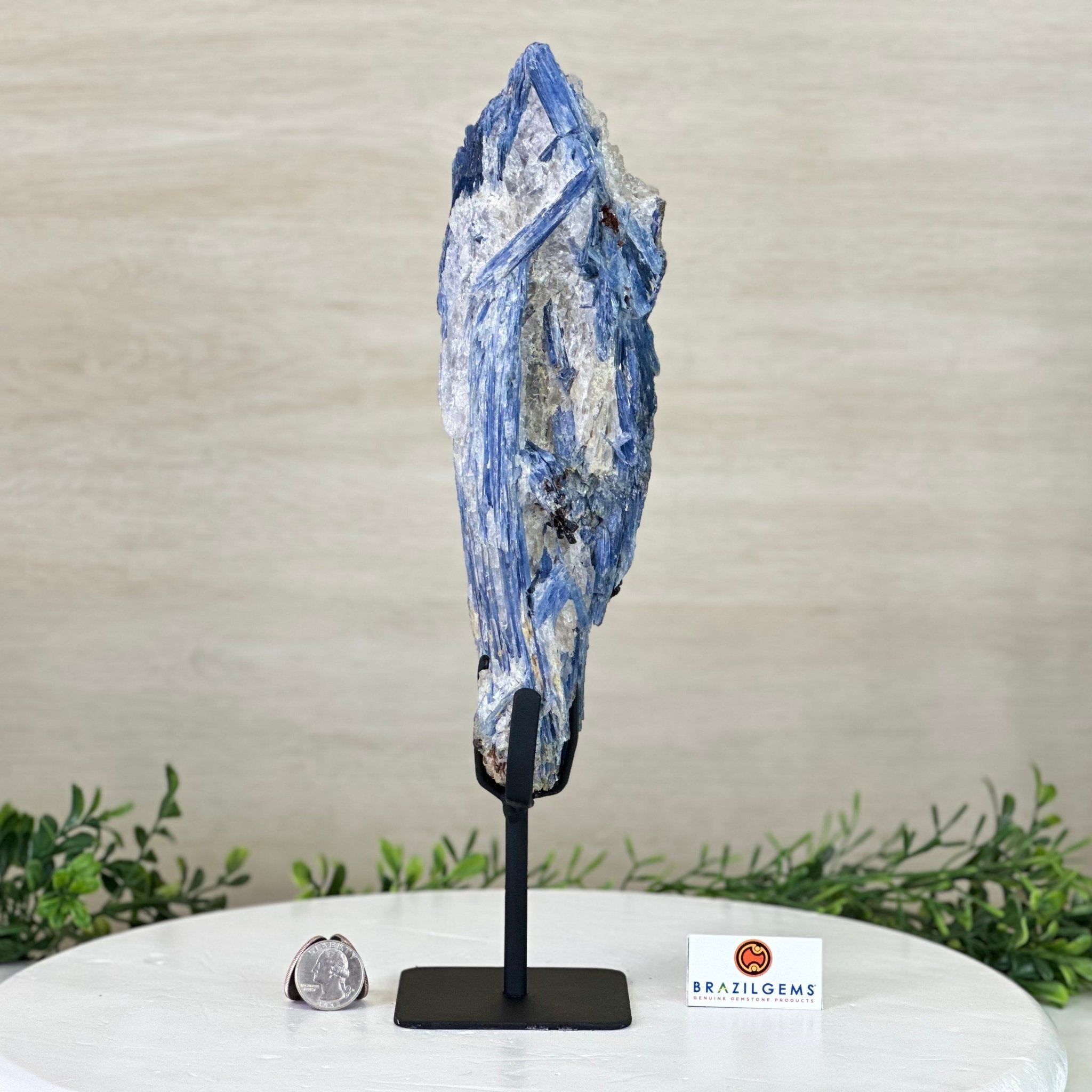 Kyanite Crystal on Metal Stand, 4.3 lbs & 13.2" Tall #6010 - 0022 - Brazil GemsBrazil GemsKyanite Crystal on Metal Stand, 4.3 lbs & 13.2" Tall #6010 - 0022Clusters on Fixed Bases6010 - 0022