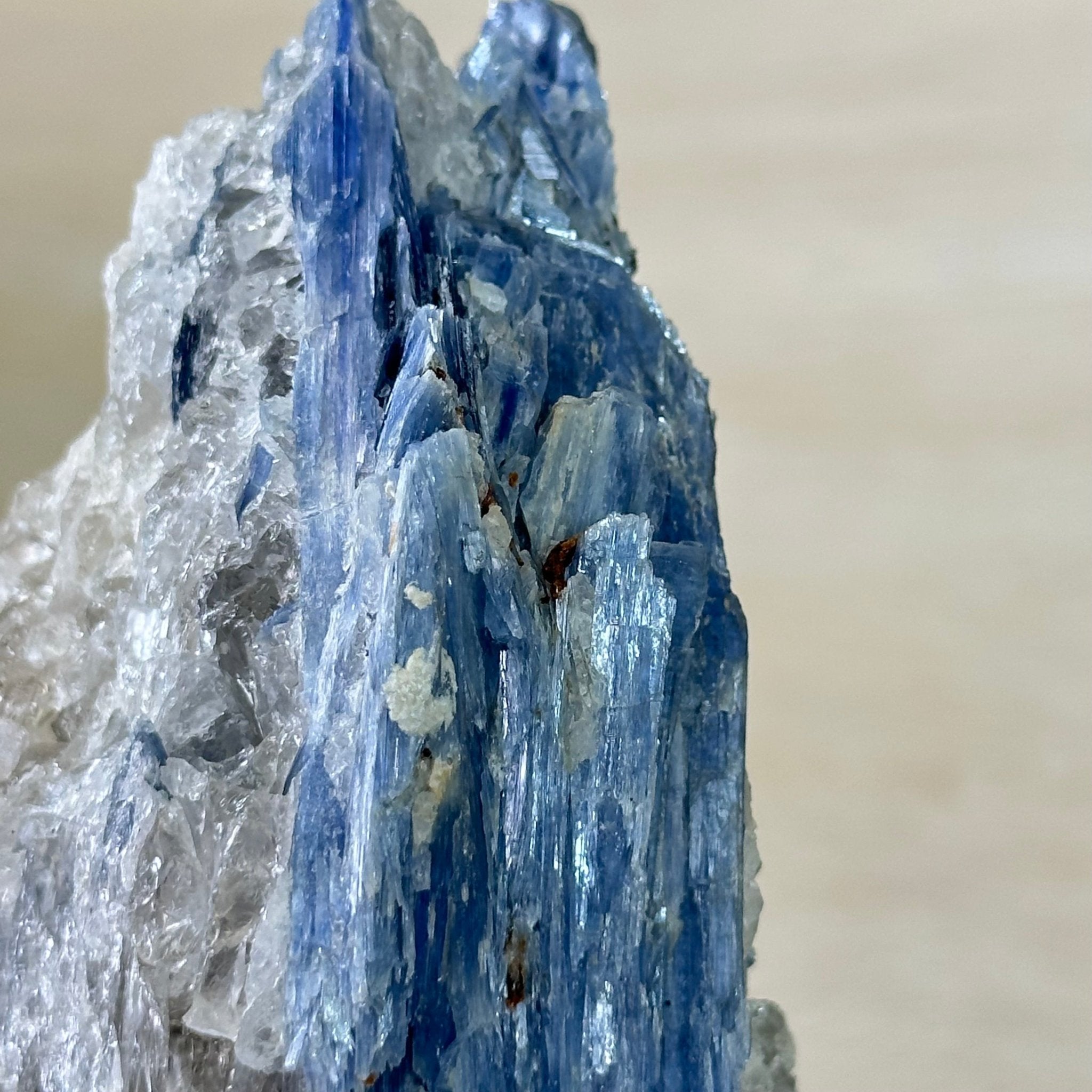 Kyanite Crystal on Metal Stand, 4.3 lbs & 13.2" Tall #6010 - 0022 - Brazil GemsBrazil GemsKyanite Crystal on Metal Stand, 4.3 lbs & 13.2" Tall #6010 - 0022Clusters on Fixed Bases6010 - 0022