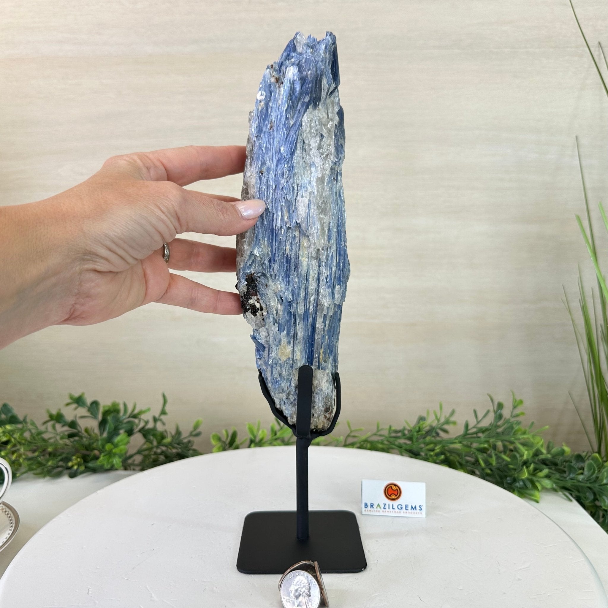 Kyanite Crystal on Metal Stand, 4.3 lbs & 13.2" Tall #6010 - 0022 - Brazil GemsBrazil GemsKyanite Crystal on Metal Stand, 4.3 lbs & 13.2" Tall #6010 - 0022Clusters on Fixed Bases6010 - 0022