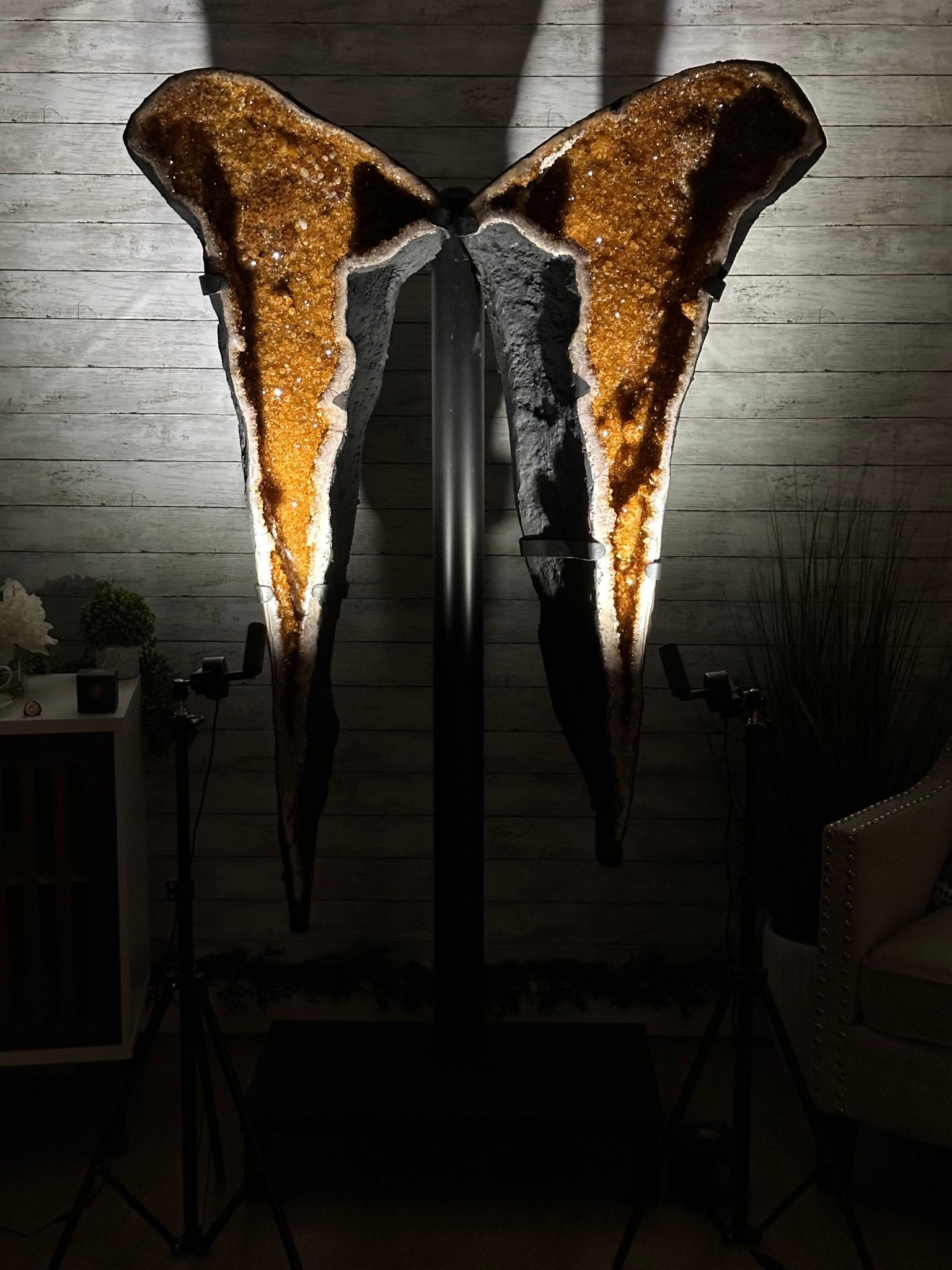 Large Citrine Butterfly Wings on a Metal Stand, 322 lbs & 72.75" Tall #5498-0005 - Brazil GemsBrazil GemsLarge Citrine Butterfly Wings on a Metal Stand, 322 lbs & 72.75" Tall #5498-0005Citrine Butterfly Wings5498-0005