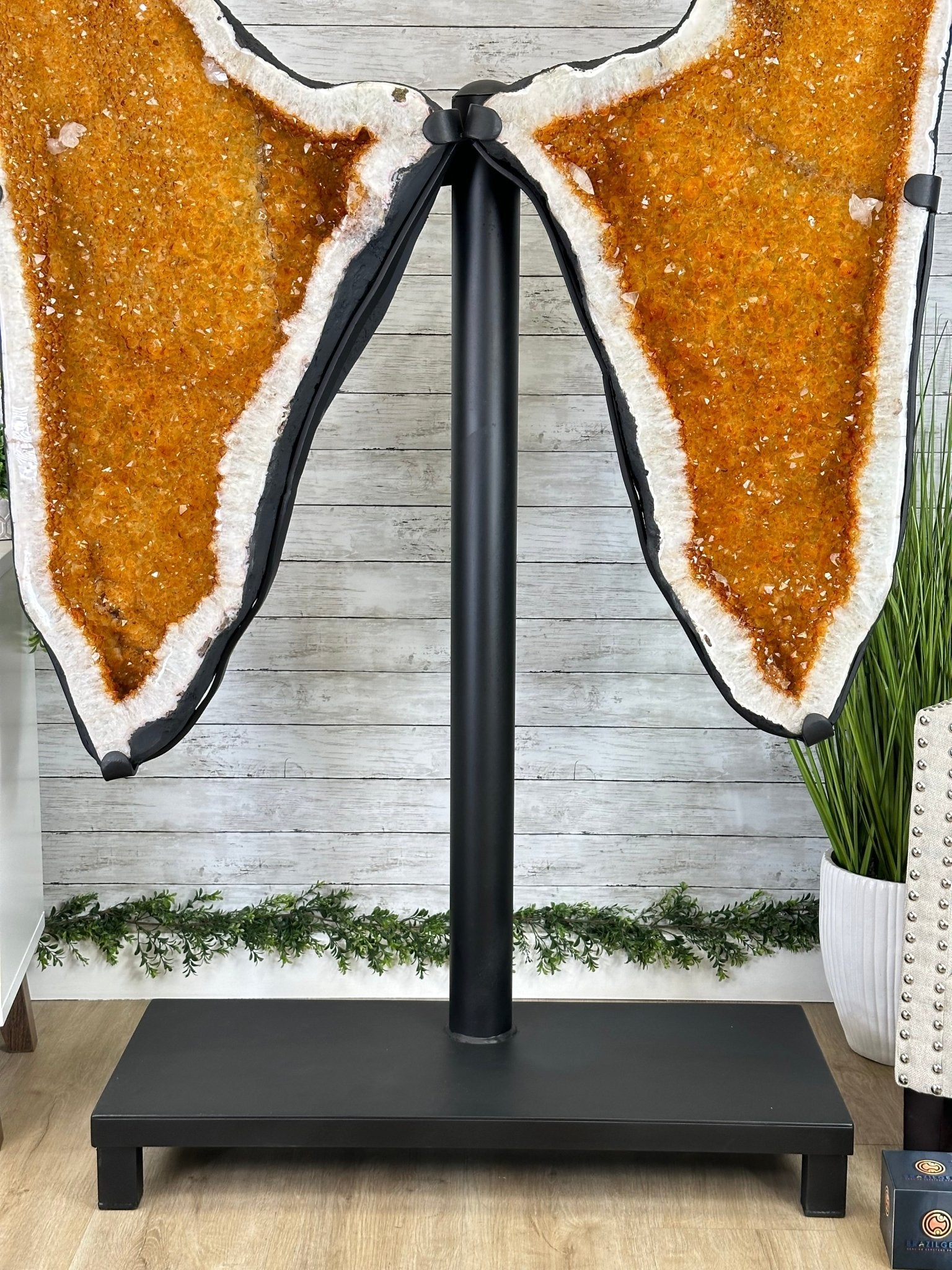 Large Citrine Butterfly Wings on a Metal Stand, 472 lbs & 71.6" Tall #5498-0006 - Brazil GemsBrazil GemsLarge Citrine Butterfly Wings on a Metal Stand, 472 lbs & 71.6" Tall #5498-0006Citrine Butterfly Wings5498-0006