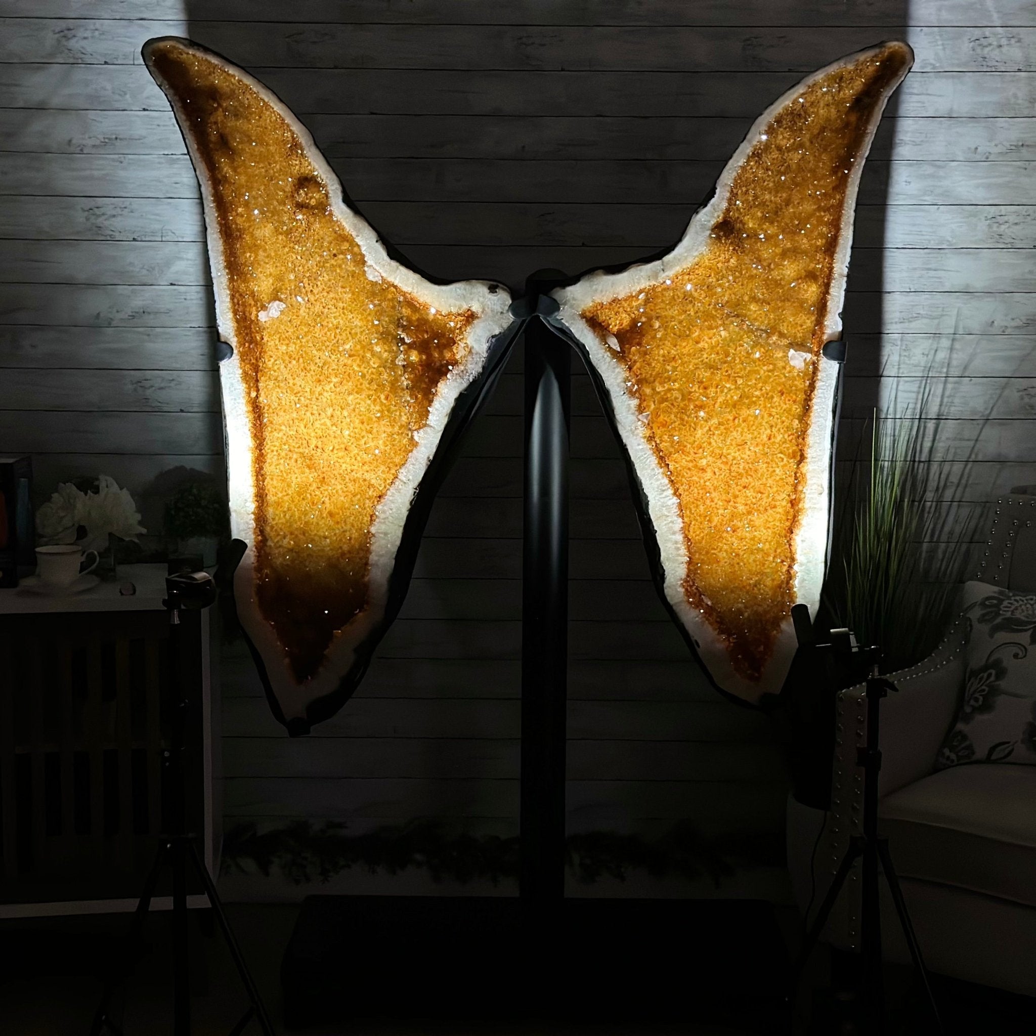 Large Citrine Butterfly Wings on a Metal Stand, 472 lbs & 71.6" Tall #5498-0006 - Brazil GemsBrazil GemsLarge Citrine Butterfly Wings on a Metal Stand, 472 lbs & 71.6" Tall #5498-0006Citrine Butterfly Wings5498-0006