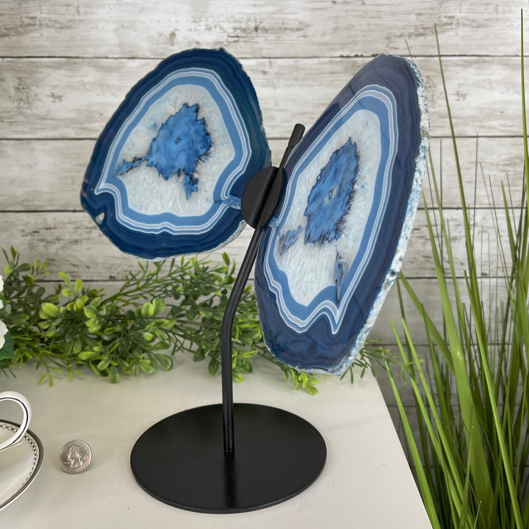 Large Dyed Blue Brazilian Agate "Butterfly Wings", Metal Stand, 12" Tall, Model #5050BL-0045 by Brazil Gems - Brazil GemsBrazil GemsLarge Dyed Blue Brazilian Agate "Butterfly Wings", Metal Stand, 12" Tall, Model #5050BL-0045 by Brazil GemsAgate Butterfly Wings5050BL-0045