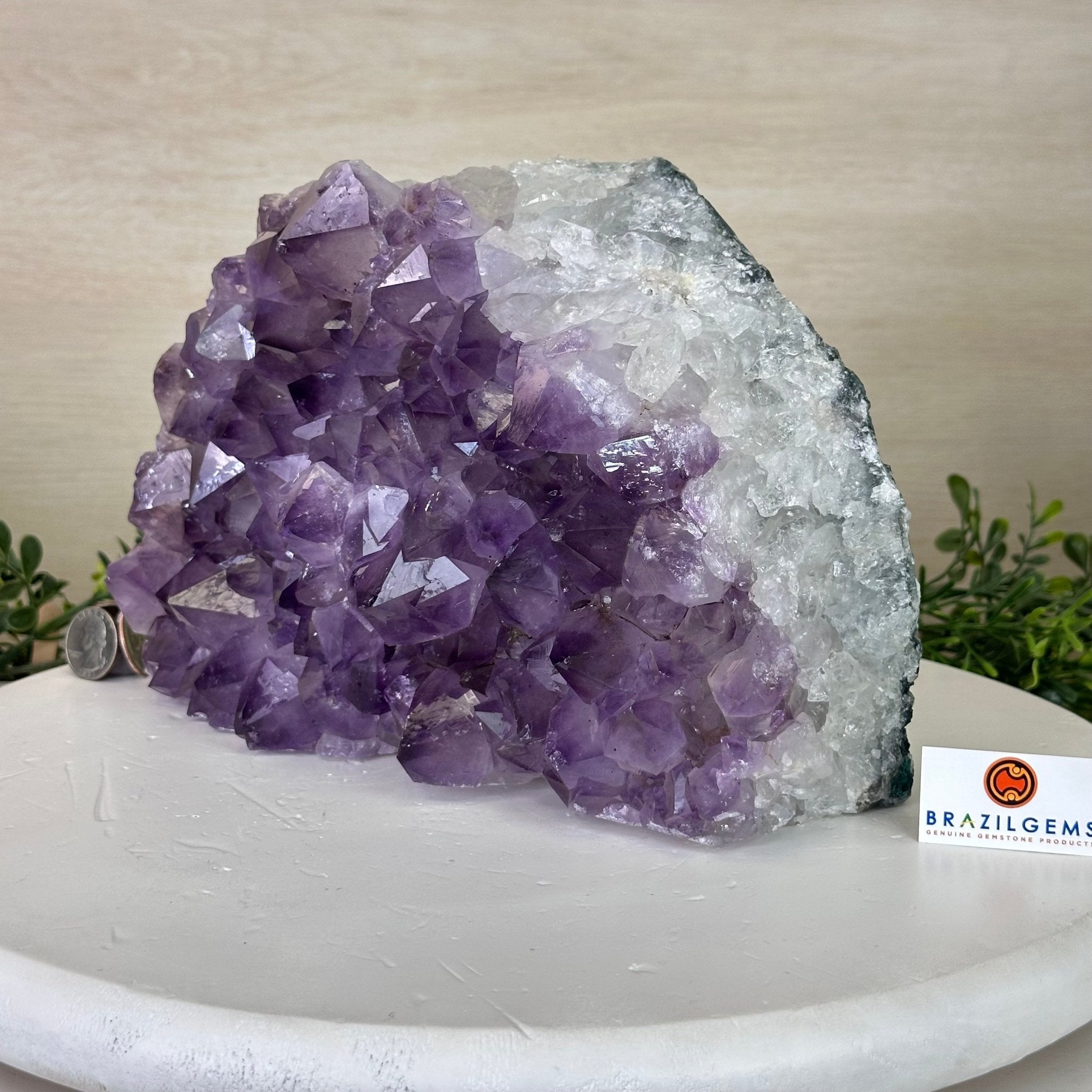 Large Extra Quality Amethyst Bookends, 16.6 lbs & 6.7" Tall #5151AM - 071 - Brazil GemsBrazil GemsLarge Extra Quality Amethyst Bookends, 16.6 lbs & 6.7" Tall #5151AM - 071Bookends5151AM - 071