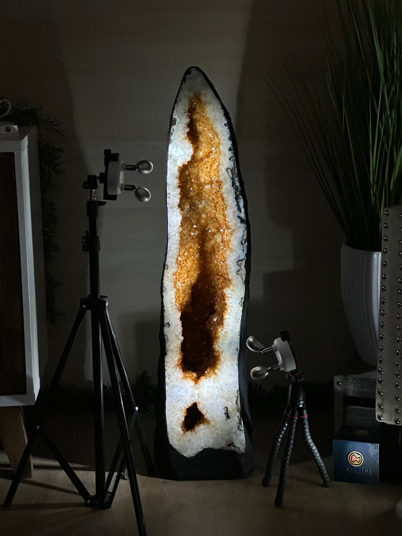 Large Extra Quality Citrine Cathedral, 112.5 lbs & 37.5" Tall #5603 - 0405 - Brazil GemsBrazil GemsLarge Extra Quality Citrine Cathedral, 112.5 lbs & 37.5" Tall #5603 - 0405Cathedrals5603 - 0405