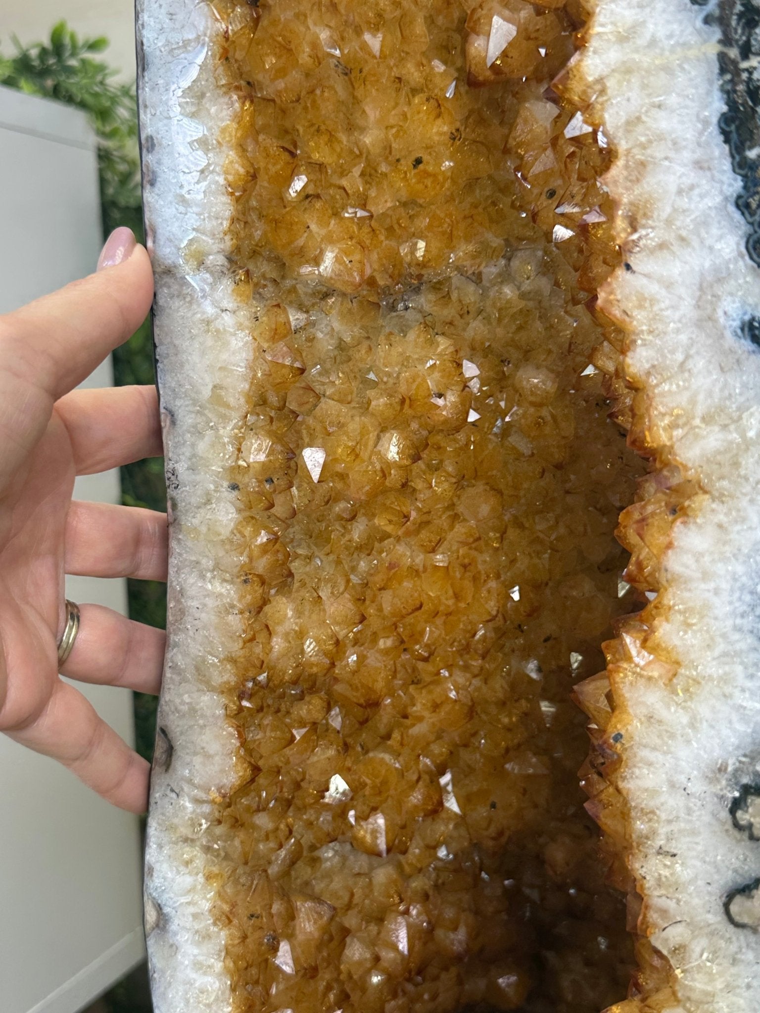 Large Extra Quality Citrine Cathedral, 112.5 lbs & 37.5" Tall #5603 - 0405 - Brazil GemsBrazil GemsLarge Extra Quality Citrine Cathedral, 112.5 lbs & 37.5" Tall #5603 - 0405Cathedrals5603 - 0405