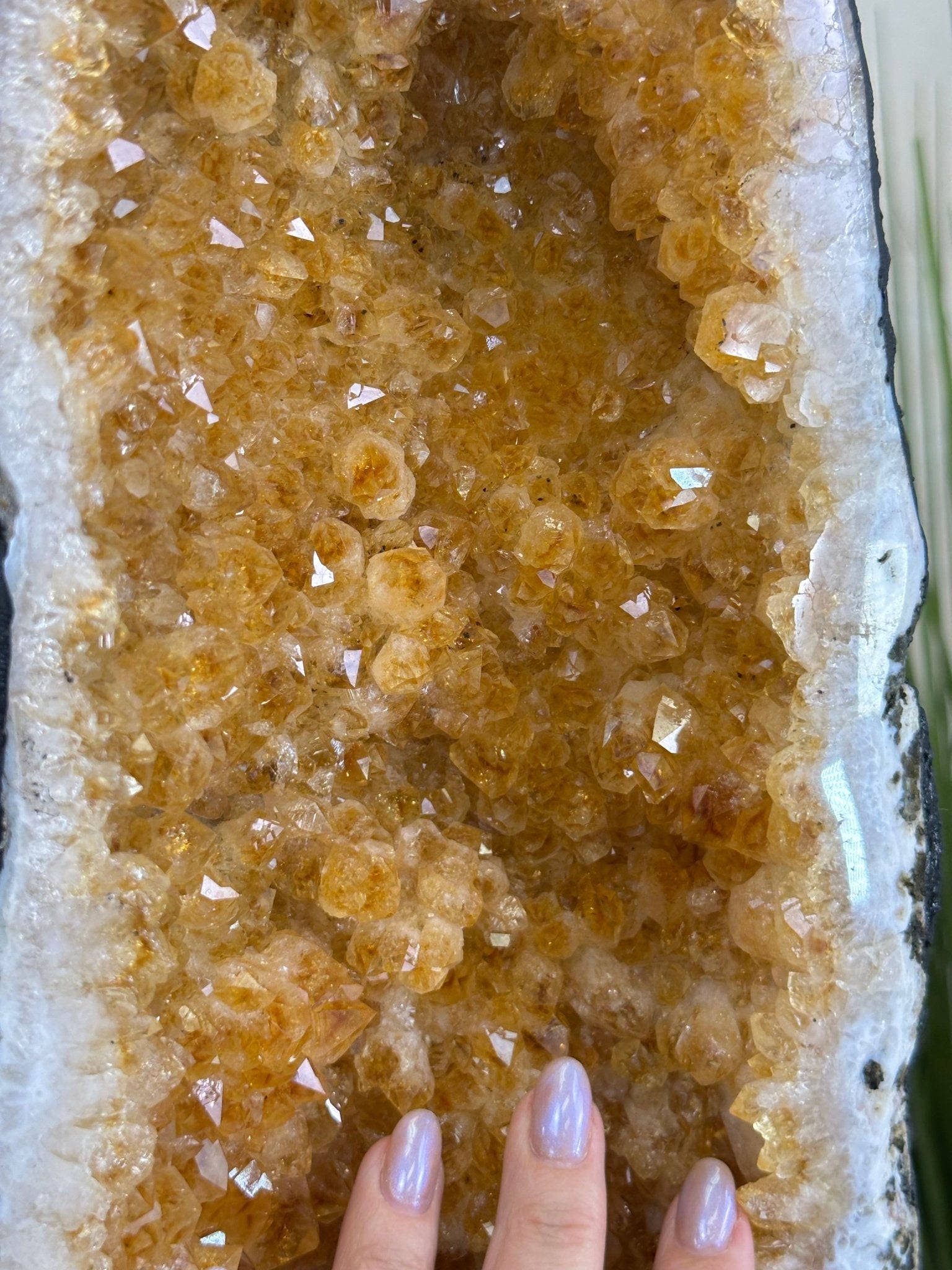 Large Extra Quality Citrine Cathedral, 66.2 lbs & 31.4" Tall #5603 - 0403 - Brazil GemsBrazil GemsLarge Extra Quality Citrine Cathedral, 66.2 lbs & 31.4" Tall #5603 - 0403Cathedrals5603 - 0403
