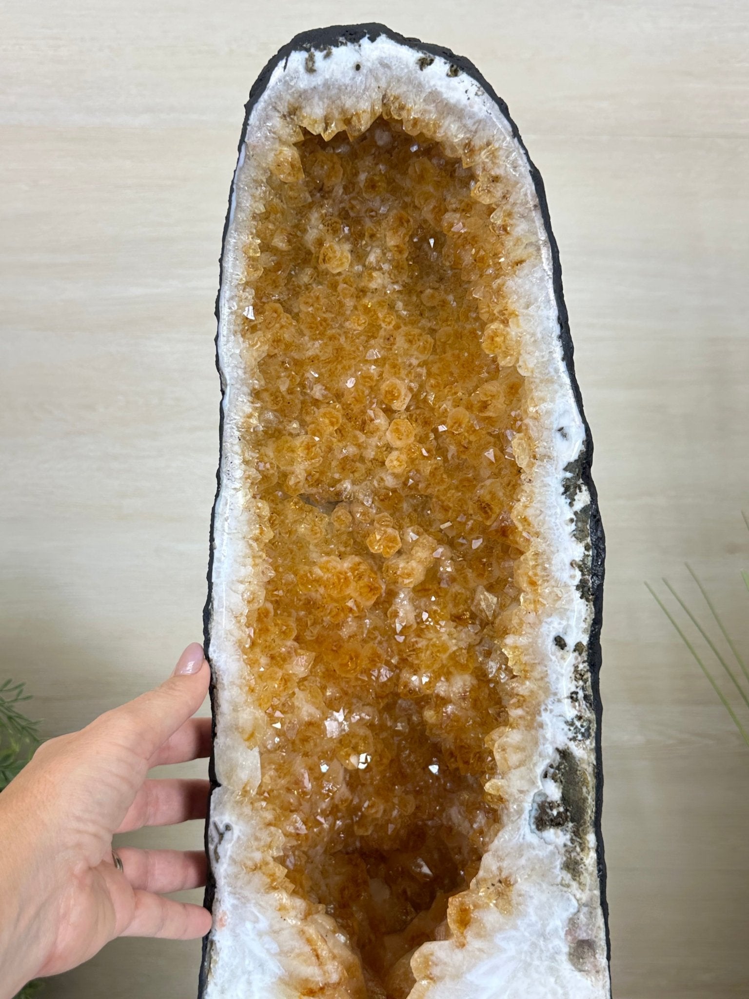 Large Extra Quality Citrine Cathedral, 66.2 lbs & 31.4" Tall #5603 - 0403 - Brazil GemsBrazil GemsLarge Extra Quality Citrine Cathedral, 66.2 lbs & 31.4" Tall #5603 - 0403Cathedrals5603 - 0403