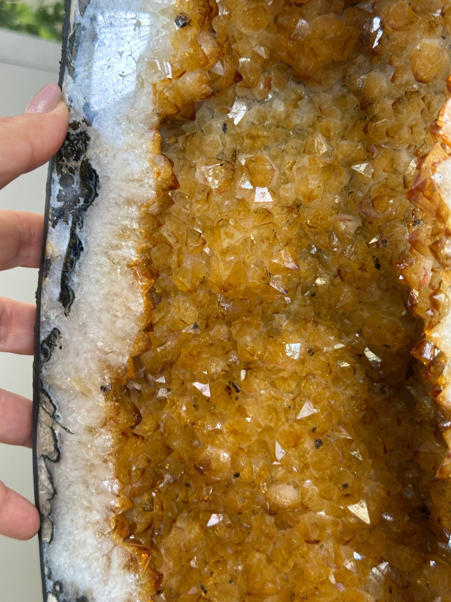 Large Extra Quality Citrine Cathedral, 97 lbs & 37.8" Tall #5603 - 0404 - Brazil GemsBrazil GemsLarge Extra Quality Citrine Cathedral, 97 lbs & 37.8" Tall #5603 - 0404Cathedrals5603 - 0404