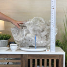 Large Extra Quality Clear Quartz Cluster 147.7 lbs & 22.1" Long 5494 - 0013 - Brazil GemsBrazil GemsLarge Extra Quality Clear Quartz Cluster 147.7 lbs & 22.1" Long 5494 - 0013Clusters With Natural Bases5494 - 0013