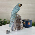 Large Hand - Carved Amazonite Parrot on an Amethyst Base, 8.5" Tall #3004 - AZPAM - 012 - Brazil GemsBrazil GemsLarge Hand - Carved Amazonite Parrot on an Amethyst Base, 8.5" Tall #3004 - AZPAM - 012Crystal Birds3004 - AZPAM - 012