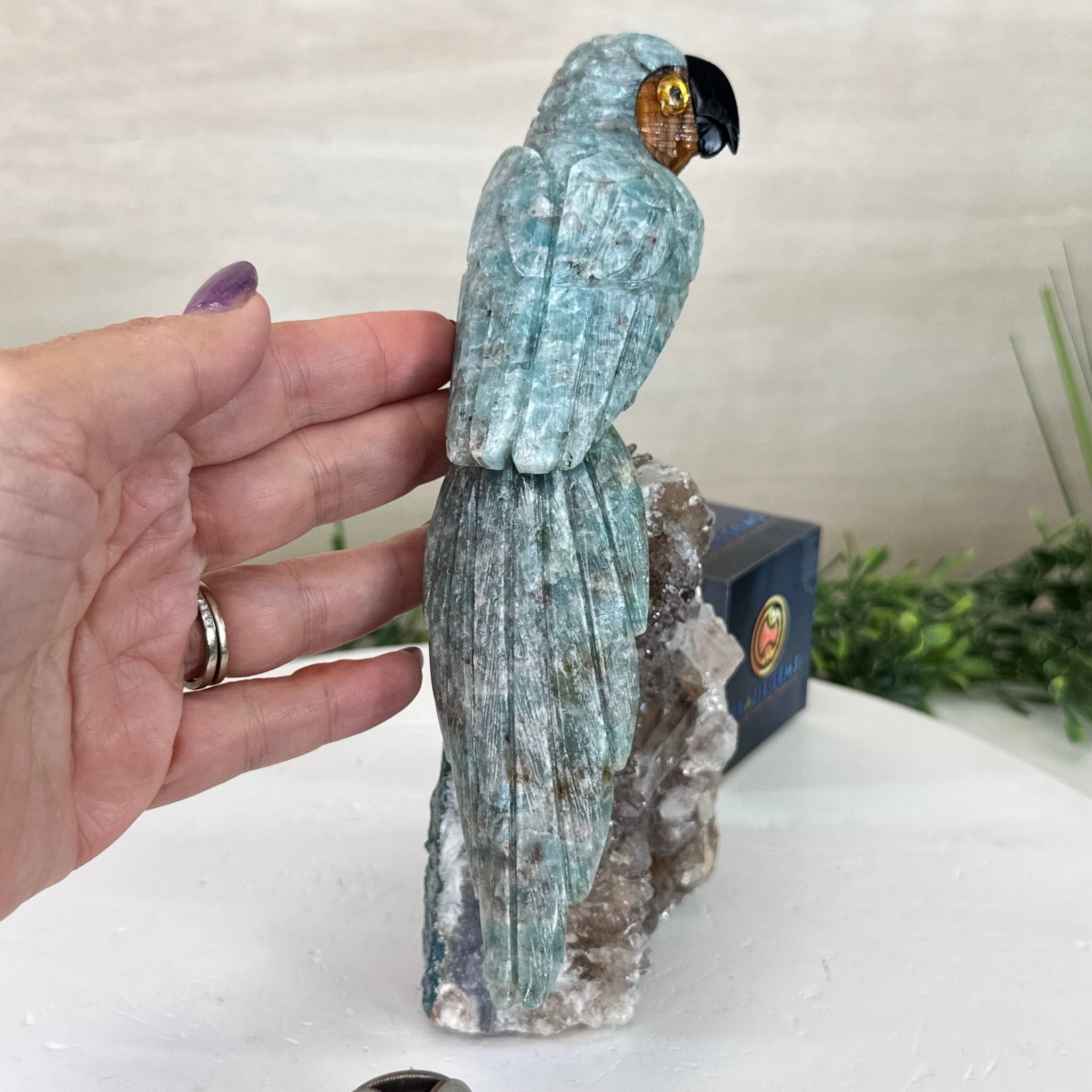 Hand-Carved Amazonite Parrot For Sale by Brazil Gems® #3004-AZPAM-012