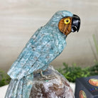 Large Hand - Carved Amazonite Parrot on an Amethyst Base, 8.5" Tall #3004 - AZPAM - 012 - Brazil GemsBrazil GemsLarge Hand - Carved Amazonite Parrot on an Amethyst Base, 8.5" Tall #3004 - AZPAM - 012Crystal Birds3004 - AZPAM - 012