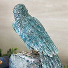 Large Hand - Carved Amazonite Parrot on an Amethyst Base, 8.5" Tall #3004 - AZPAM - 012 - Brazil GemsBrazil GemsLarge Hand - Carved Amazonite Parrot on an Amethyst Base, 8.5" Tall #3004 - AZPAM - 012Crystal Birds3004 - AZPAM - 012