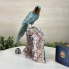 Large Hand - Carved Amazonite Parrot on an Amethyst Base, 8.5" Tall #3004 - AZPAM - 012 - Brazil GemsBrazil GemsLarge Hand - Carved Amazonite Parrot on an Amethyst Base, 8.5" Tall #3004 - AZPAM - 012Crystal Birds3004 - AZPAM - 012