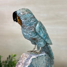 Large Hand - Carved Amazonite Parrot on an Amethyst Base, 8.5" Tall #3004 - AZPAM - 012 - Brazil GemsBrazil GemsLarge Hand - Carved Amazonite Parrot on an Amethyst Base, 8.5" Tall #3004 - AZPAM - 012Crystal Birds3004 - AZPAM - 012