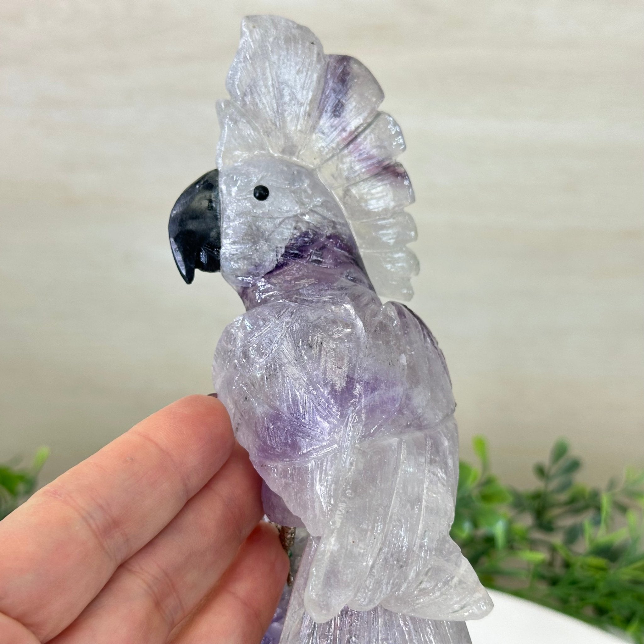 Large Hand - Carved Amethyst Cockatoo 8.4" Long on an Amethyst Cluster #3004 - AMCAM - 031 - Brazil GemsBrazil GemsLarge Hand - Carved Amethyst Cockatoo 8.4" Long on an Amethyst Cluster #3004 - AMCAM - 031Crystal Birds3004 - AMCAM - 031