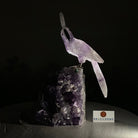 Large Hand - Carved Amethyst Cockatoo 8.4" Long on an Amethyst Cluster #3004 - AMCAM - 031 - Brazil GemsBrazil GemsLarge Hand - Carved Amethyst Cockatoo 8.4" Long on an Amethyst Cluster #3004 - AMCAM - 031Crystal Birds3004 - AMCAM - 031