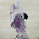 Large Hand - Carved Amethyst Cockatoo 8.4" Long on an Amethyst Cluster #3004 - AMCAM - 031 - Brazil GemsBrazil GemsLarge Hand - Carved Amethyst Cockatoo 8.4" Long on an Amethyst Cluster #3004 - AMCAM - 031Crystal Birds3004 - AMCAM - 031