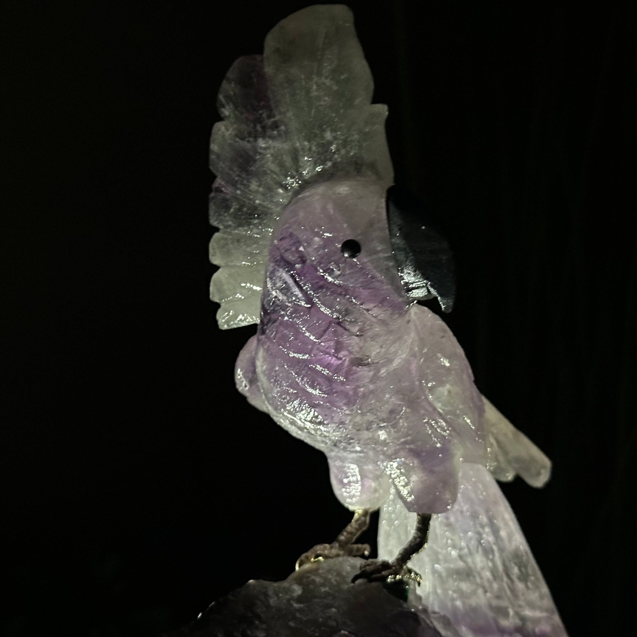 Large Hand - Carved Amethyst Cockatoo 8.4" Long on an Amethyst Cluster #3004 - AMCAM - 031 - Brazil GemsBrazil GemsLarge Hand - Carved Amethyst Cockatoo 8.4" Long on an Amethyst Cluster #3004 - AMCAM - 031Crystal Birds3004 - AMCAM - 031