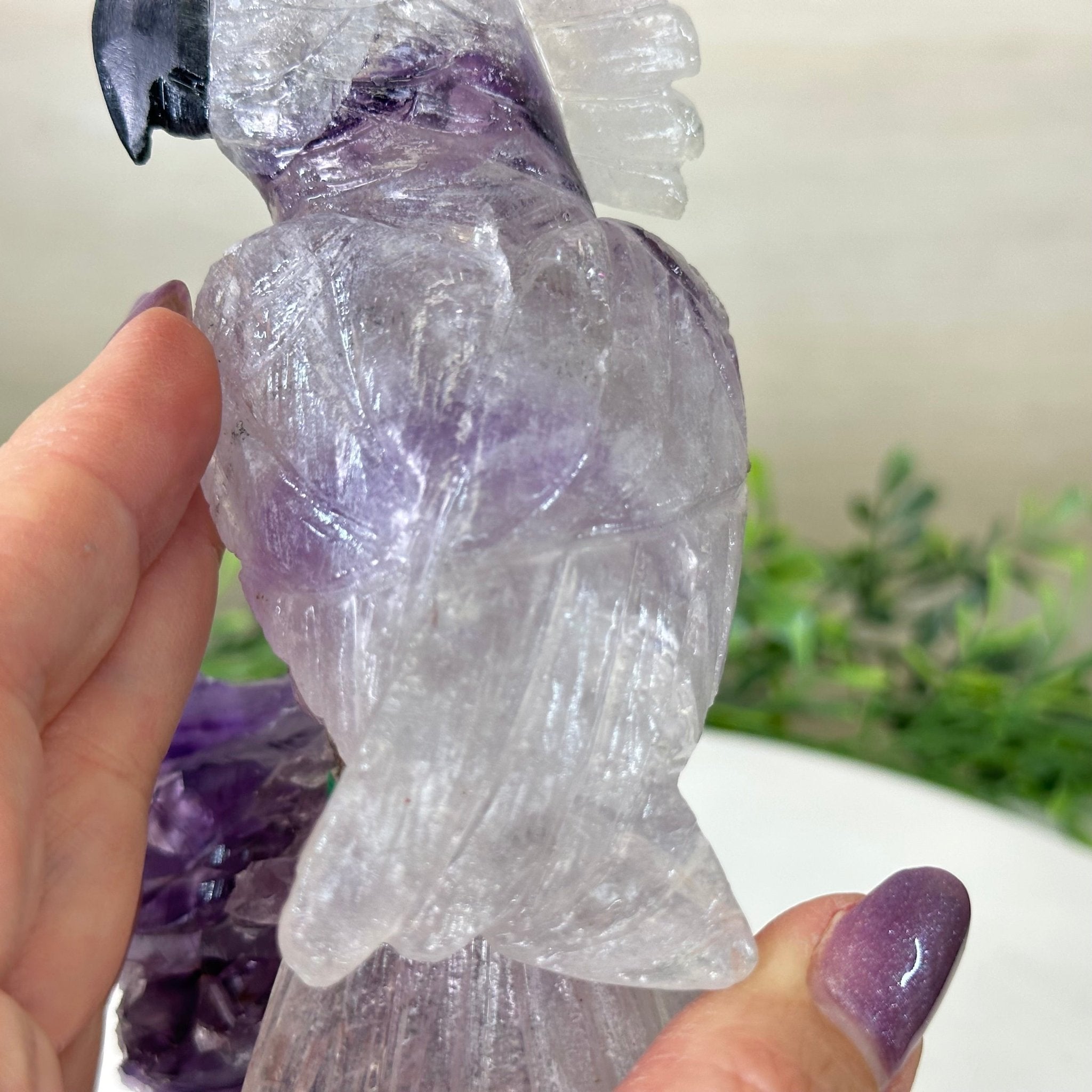 Large Hand - Carved Amethyst Cockatoo 8.4" Long on an Amethyst Cluster #3004 - AMCAM - 031 - Brazil GemsBrazil GemsLarge Hand - Carved Amethyst Cockatoo 8.4" Long on an Amethyst Cluster #3004 - AMCAM - 031Crystal Birds3004 - AMCAM - 031