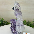 Large Hand - Carved Amethyst Cockatoo 8.4" Long on an Amethyst Cluster #3004 - AMCAM - 031 - Brazil GemsBrazil GemsLarge Hand - Carved Amethyst Cockatoo 8.4" Long on an Amethyst Cluster #3004 - AMCAM - 031Crystal Birds3004 - AMCAM - 031