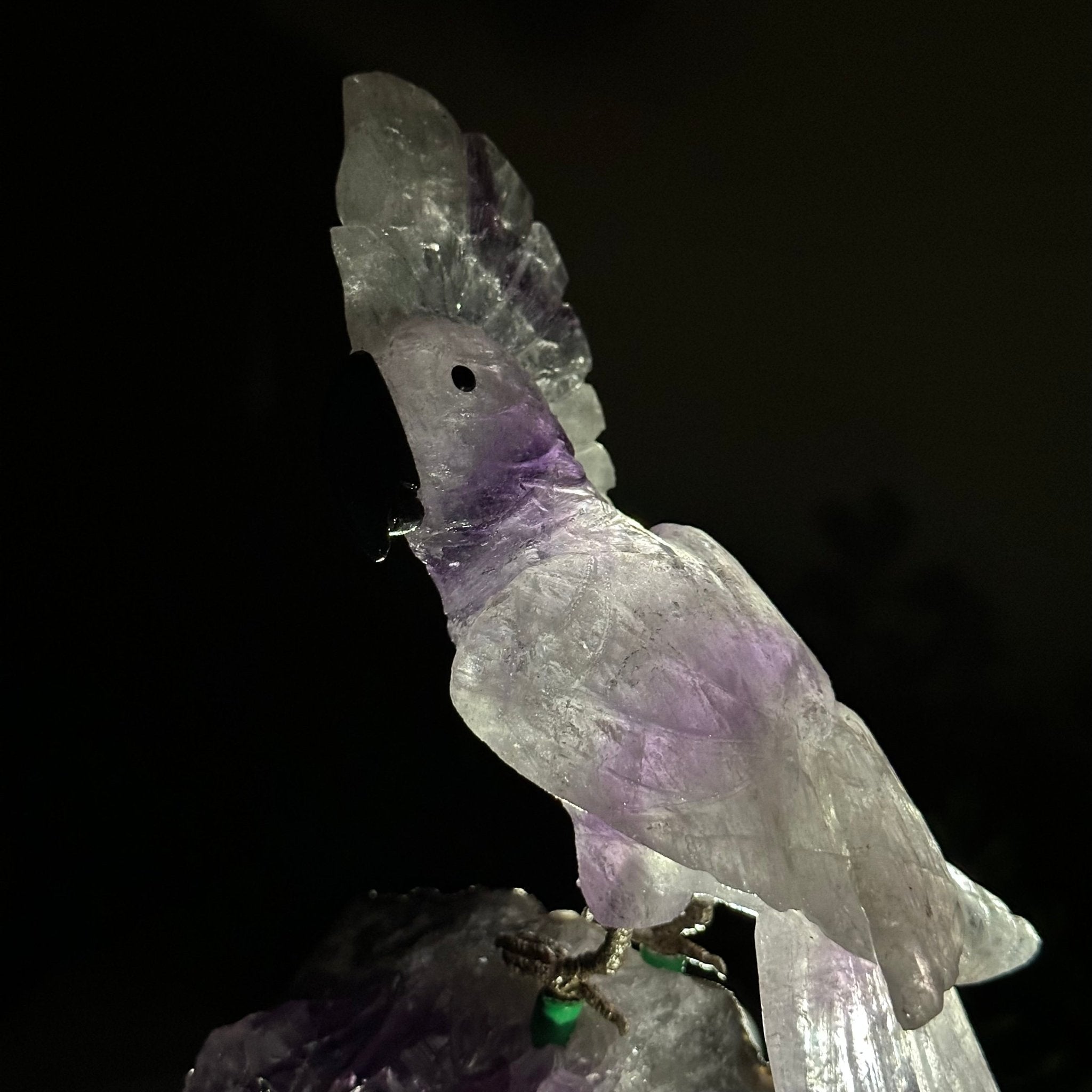 Large Hand - Carved Amethyst Cockatoo 8.4" Long on an Amethyst Cluster #3004 - AMCAM - 031 - Brazil GemsBrazil GemsLarge Hand - Carved Amethyst Cockatoo 8.4" Long on an Amethyst Cluster #3004 - AMCAM - 031Crystal Birds3004 - AMCAM - 031