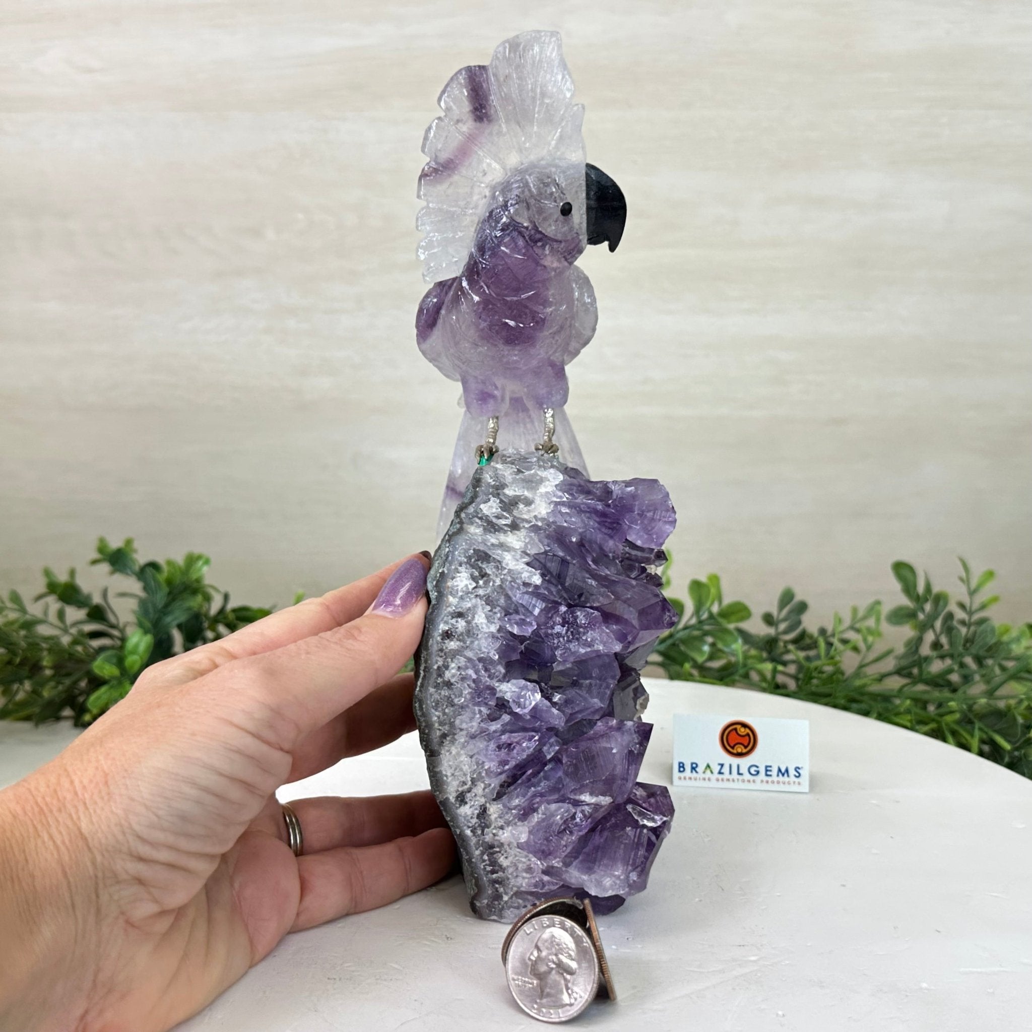 Large Hand - Carved Amethyst Cockatoo 8.4" Long on an Amethyst Cluster #3004 - AMCAM - 031 - Brazil GemsBrazil GemsLarge Hand - Carved Amethyst Cockatoo 8.4" Long on an Amethyst Cluster #3004 - AMCAM - 031Crystal Birds3004 - AMCAM - 031