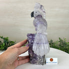 Large Hand - Carved Amethyst Cockatoo 8.4" Long on an Amethyst Cluster #3004 - AMCAM - 031 - Brazil GemsBrazil GemsLarge Hand - Carved Amethyst Cockatoo 8.4" Long on an Amethyst Cluster #3004 - AMCAM - 031Crystal Birds3004 - AMCAM - 031