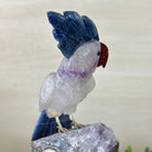 Large Hand - Carved Amethyst Cockatoo 9" Long on an Amethyst Cluster #3004 - AMCAM - 027 - Brazil GemsBrazil GemsLarge Hand - Carved Amethyst Cockatoo 9" Long on an Amethyst Cluster #3004 - AMCAM - 027Crystal Birds3004 - AMCAM - 027