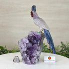 Large Hand - Carved Amethyst Cockatoo 9" Long on an Amethyst Cluster #3004 - AMCAM - 027 - Brazil GemsBrazil GemsLarge Hand - Carved Amethyst Cockatoo 9" Long on an Amethyst Cluster #3004 - AMCAM - 027Crystal Birds3004 - AMCAM - 027