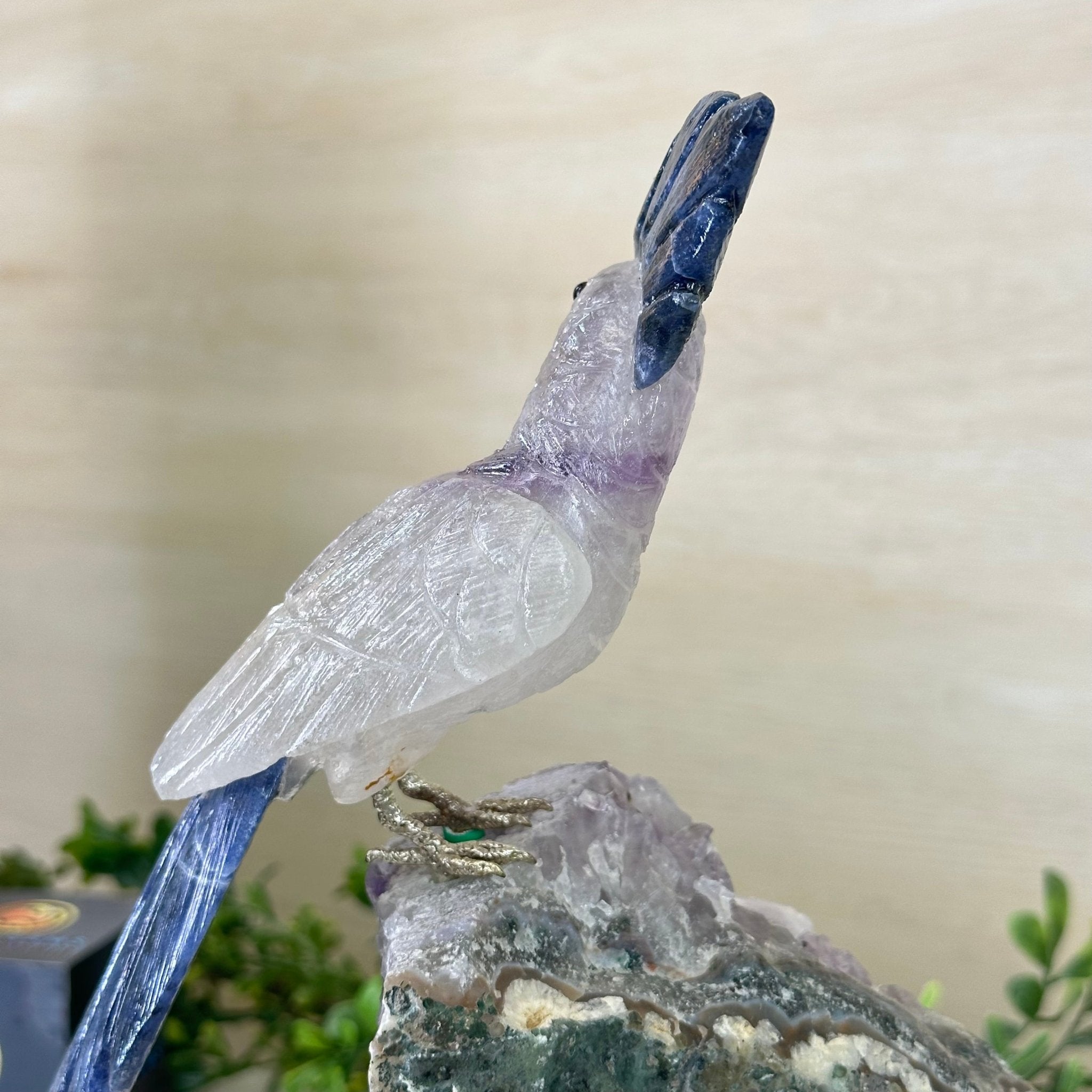 Large Hand - Carved Amethyst Cockatoo 9" Long on an Amethyst Cluster #3004 - AMCAM - 027 - Brazil GemsBrazil GemsLarge Hand - Carved Amethyst Cockatoo 9" Long on an Amethyst Cluster #3004 - AMCAM - 027Crystal Birds3004 - AMCAM - 027