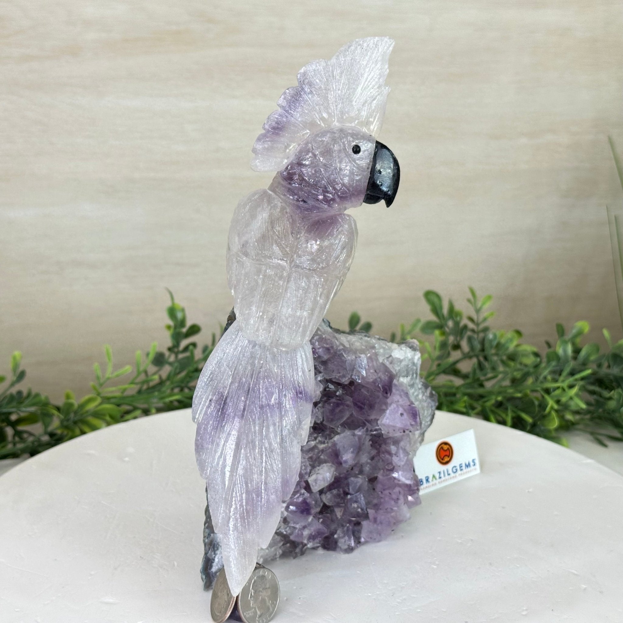 Large Hand - Carved Amethyst Cockatoo 9.4" Long on an Amethyst Cluster #3004 - AMCAM - 028 - Brazil GemsBrazil GemsLarge Hand - Carved Amethyst Cockatoo 9.4" Long on an Amethyst Cluster #3004 - AMCAM - 028Crystal Birds3004 - AMCAM - 028