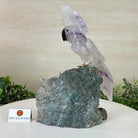 Large Hand - Carved Amethyst Cockatoo 9.4" Long on an Amethyst Cluster #3004 - AMCAM - 028 - Brazil GemsBrazil GemsLarge Hand - Carved Amethyst Cockatoo 9.4" Long on an Amethyst Cluster #3004 - AMCAM - 028Crystal Birds3004 - AMCAM - 028