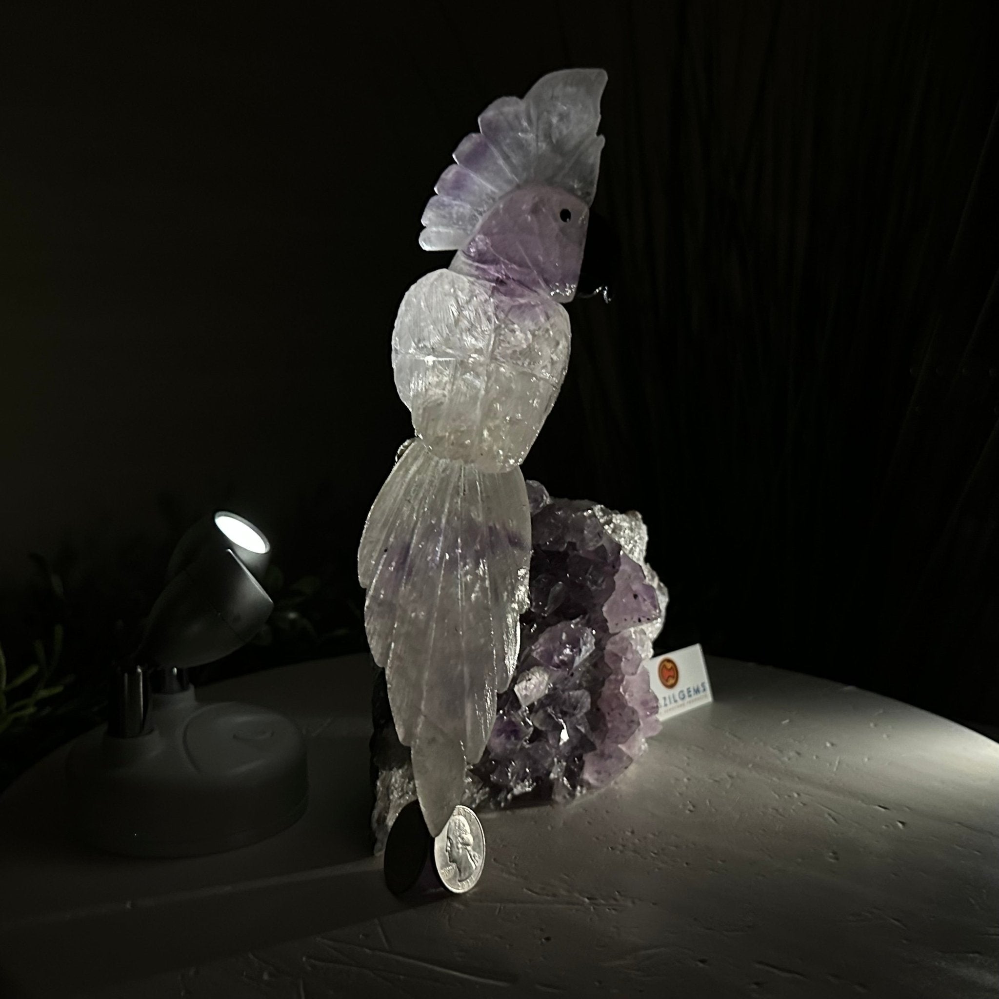 Large Hand - Carved Amethyst Cockatoo 9.4" Long on an Amethyst Cluster #3004 - AMCAM - 028 - Brazil GemsBrazil GemsLarge Hand - Carved Amethyst Cockatoo 9.4" Long on an Amethyst Cluster #3004 - AMCAM - 028Crystal Birds3004 - AMCAM - 028