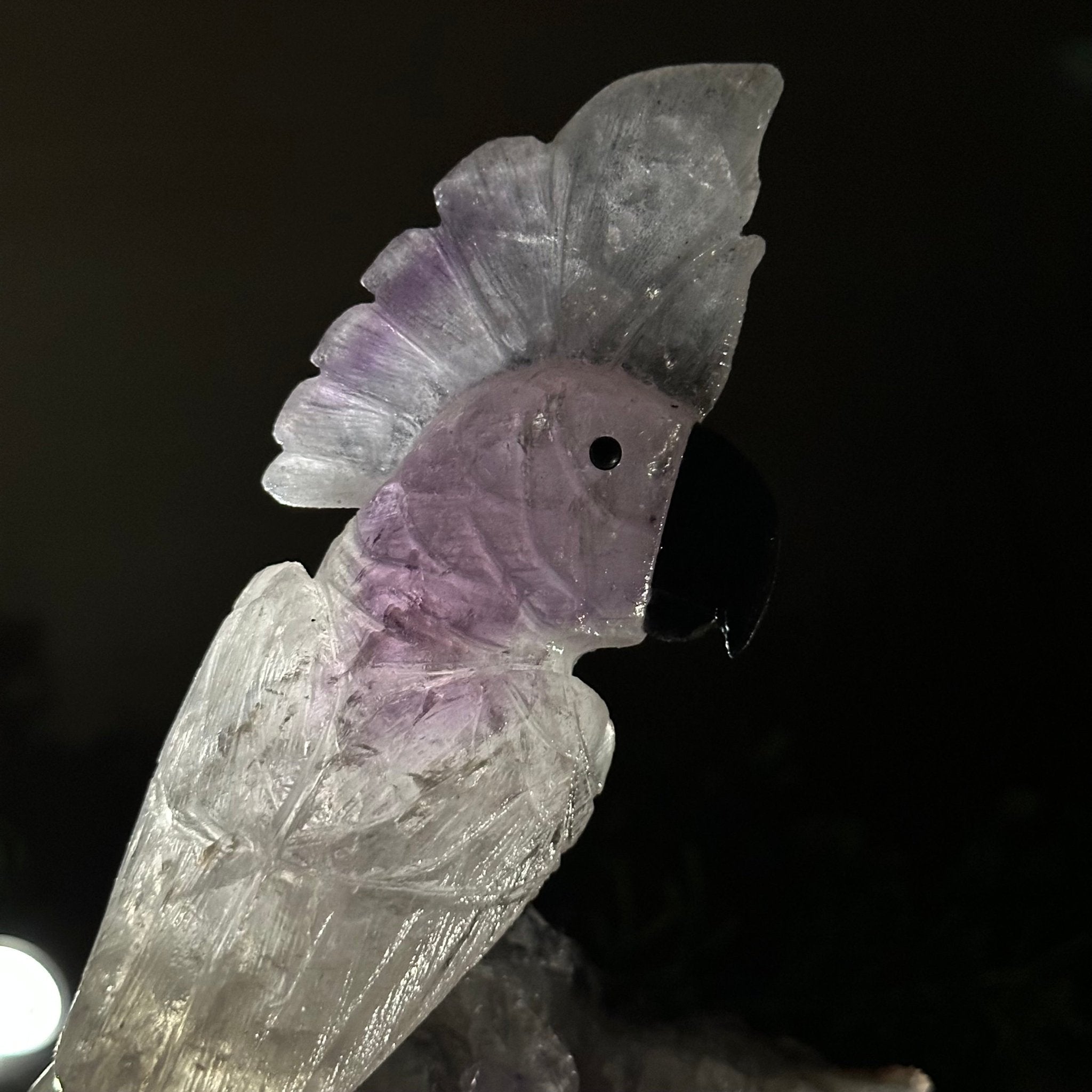 Large Hand - Carved Amethyst Cockatoo 9.4" Long on an Amethyst Cluster #3004 - AMCAM - 028 - Brazil GemsBrazil GemsLarge Hand - Carved Amethyst Cockatoo 9.4" Long on an Amethyst Cluster #3004 - AMCAM - 028Crystal Birds3004 - AMCAM - 028