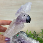 Large Hand - Carved Amethyst Cockatoo 9.4" Long on an Amethyst Cluster #3004 - AMCAM - 028 - Brazil GemsBrazil GemsLarge Hand - Carved Amethyst Cockatoo 9.4" Long on an Amethyst Cluster #3004 - AMCAM - 028Crystal Birds3004 - AMCAM - 028