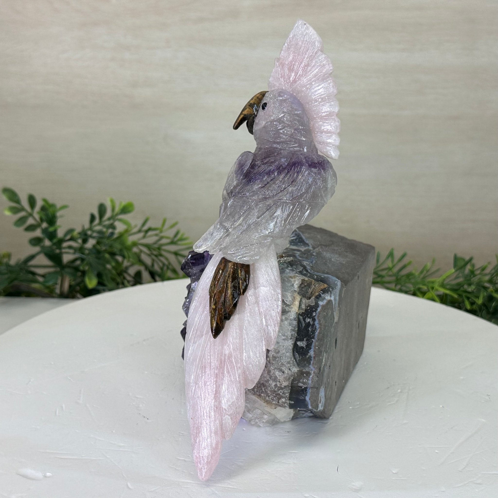 Large Hand - Carved Amethyst Cockatoo on an Amethyst Base, 8.1" Tall #3004 - AMCAM - 030 - Brazil GemsBrazil GemsLarge Hand - Carved Amethyst Cockatoo on an Amethyst Base, 8.1" Tall #3004 - AMCAM - 030Crystal Birds3004 - AMCAM - 030