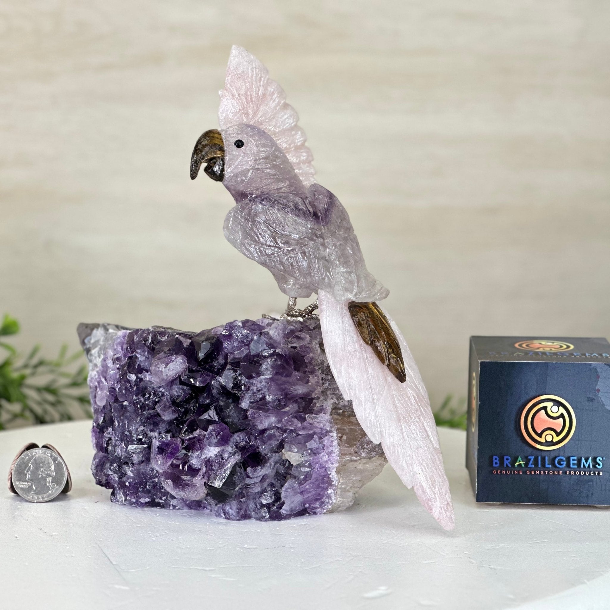 Large Hand - Carved Amethyst Cockatoo on an Amethyst Base, 8.1" Tall #3004 - AMCAM - 030 - Brazil GemsBrazil GemsLarge Hand - Carved Amethyst Cockatoo on an Amethyst Base, 8.1" Tall #3004 - AMCAM - 030Crystal Birds3004 - AMCAM - 030