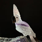 Large Hand - Carved Amethyst Cockatoo on an Amethyst Base, 8.1" Tall #3004 - AMCAM - 030 - Brazil GemsBrazil GemsLarge Hand - Carved Amethyst Cockatoo on an Amethyst Base, 8.1" Tall #3004 - AMCAM - 030Crystal Birds3004 - AMCAM - 030